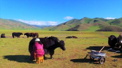 The Best Backpacking Mongolia Itinerary For First-Timers